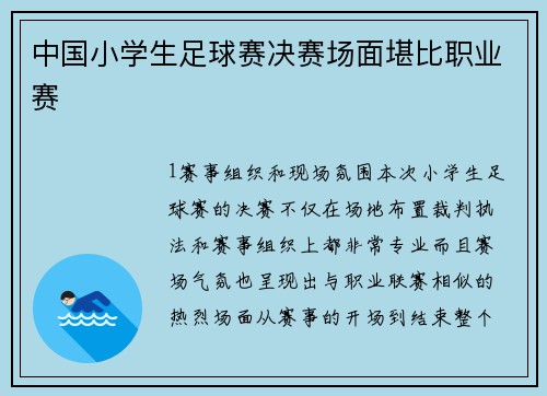 中国小学生足球赛决赛场面堪比职业赛